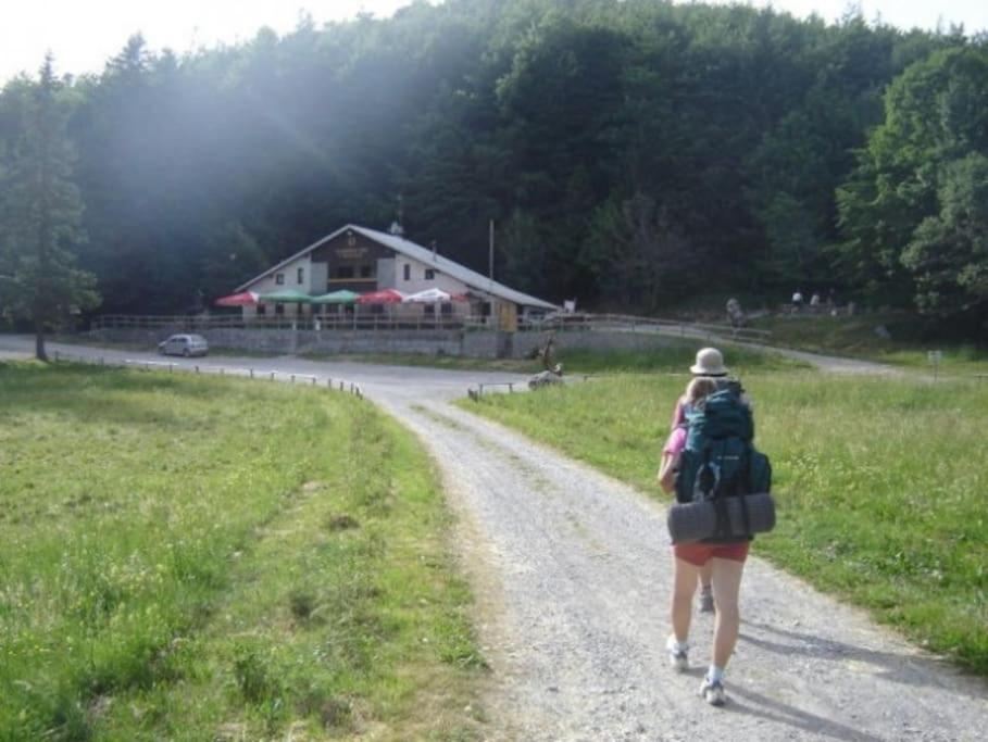 Cozy Rooms In Nature, Perfect For Relax Ilirska Bistrica Eksteriør bilde
